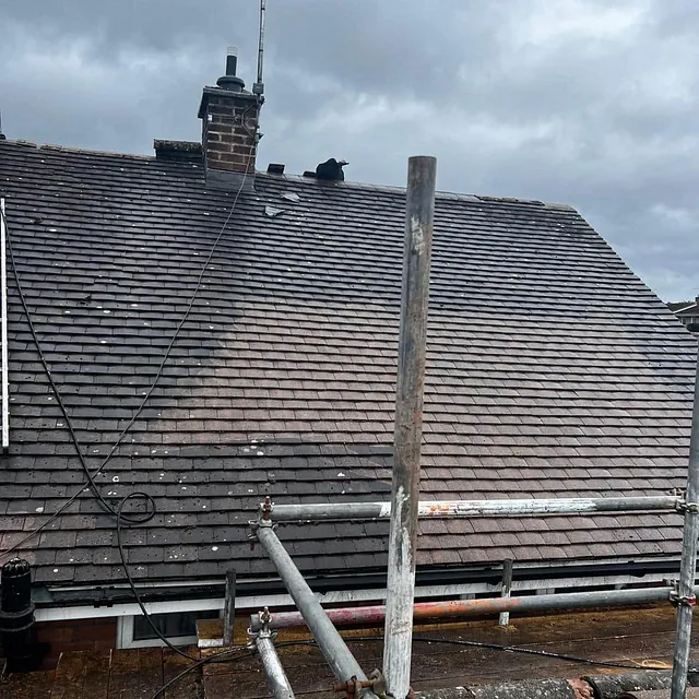 roof cleaning