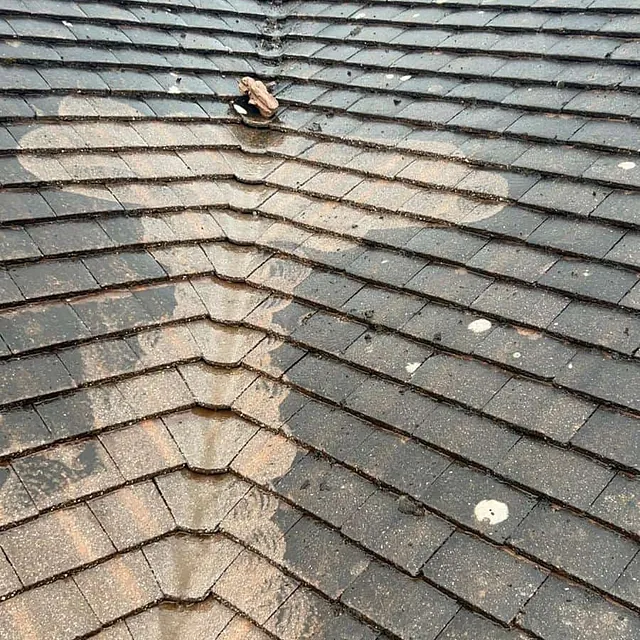 roof cleaning